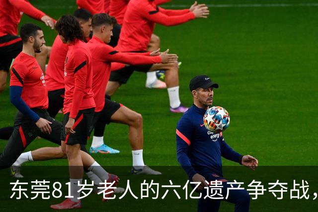 东莞81岁老人的六亿遗产争夺战，女儿质疑继母与父亲的关系