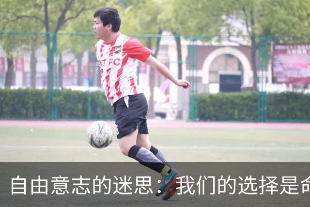自由意志的迷思：我们的选择是命运的安排？